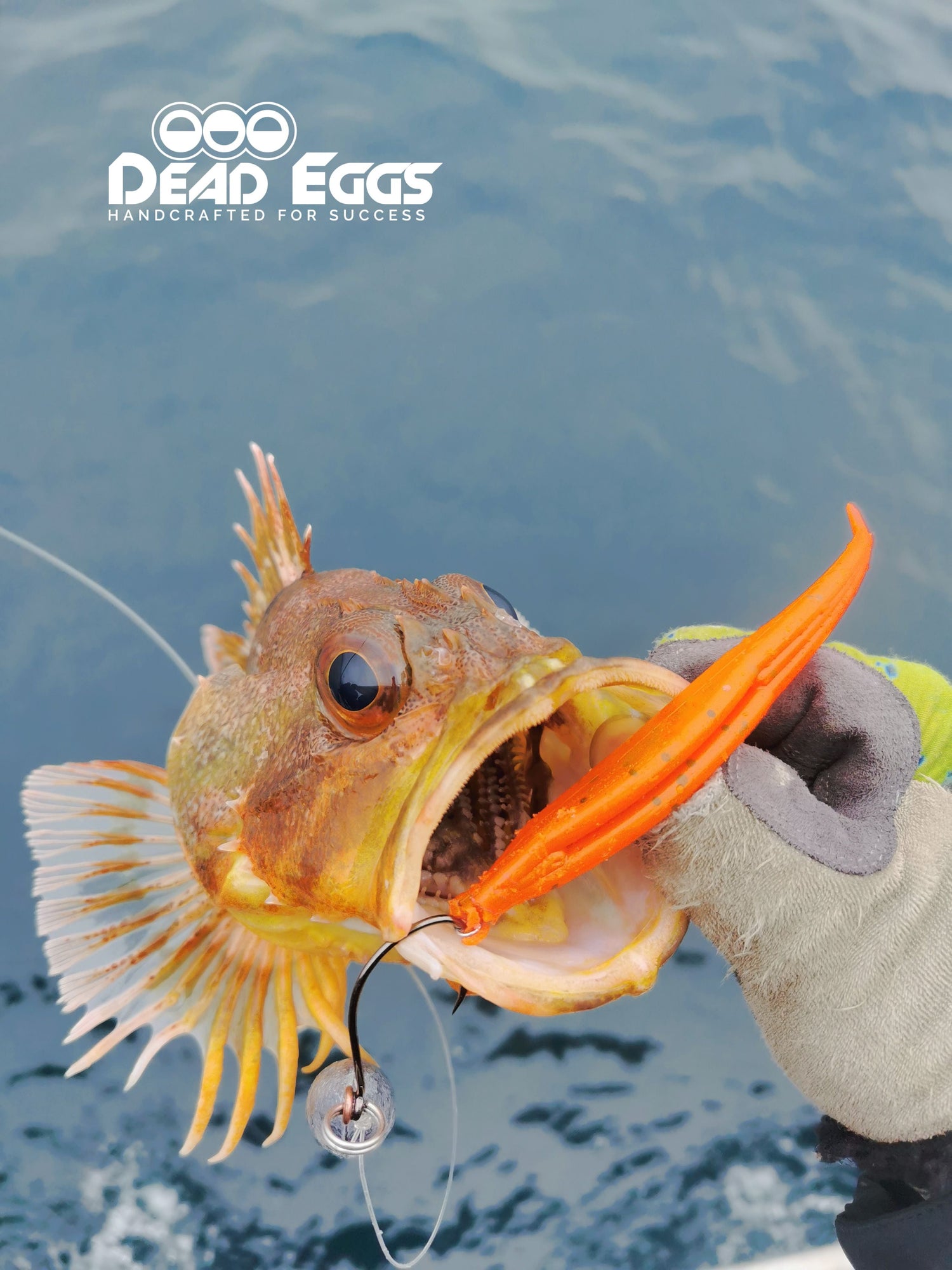 5.75"/146mm Split Tail "Sink Fast Jerk" 5 Pack - Dead Eggs LtdDead EggsSFJ575BM1